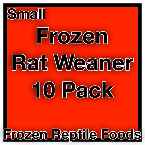 Frozen Small Weaner Rat (26-50g) - 10pk