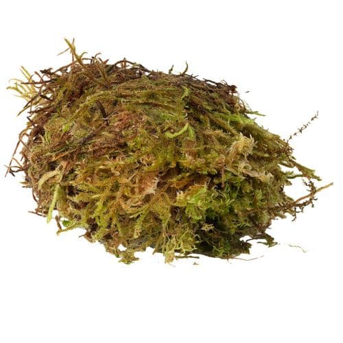 Habistat Sphagnum Moss 250g