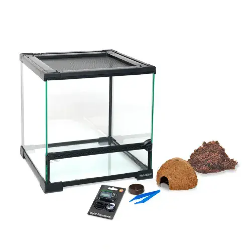Habistat Spider Starter Kit