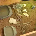 Habistat Tortoise Pool (Range)