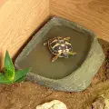 Habistat Tortoise Pool (Range)