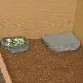 Habistat Tortoise Pool (Range)