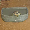 Habistat Tortoise Pool (Range)