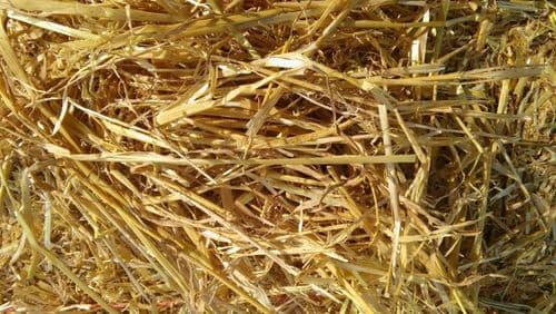 Helmes Straw Large Pre-Pack