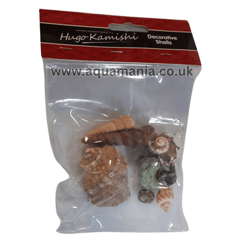 Hugo Kamishi Decorative Shells 138902