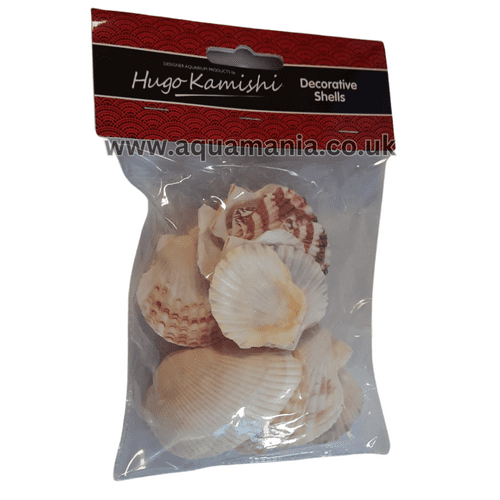 Hugo Kamishi Decorative Shells 138914