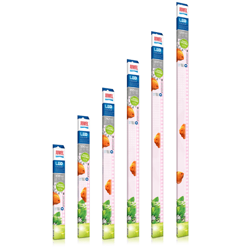 Juwel Aquarium LED Colour Tube (Range)