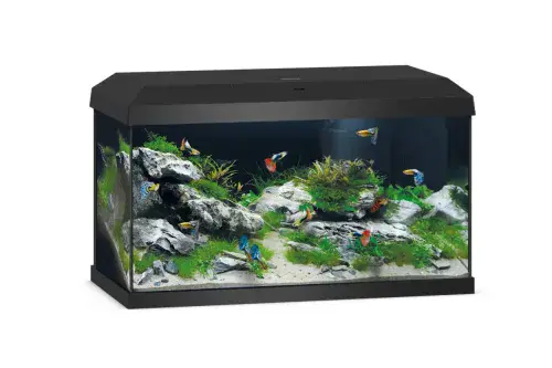 Juwel Primo 2.0 60 Aquarium (Tank Only)