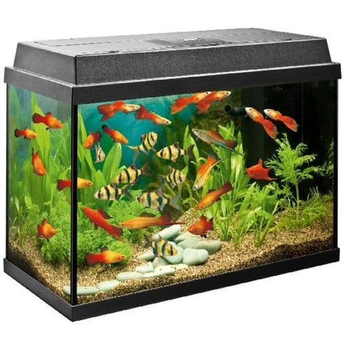 Juwel Primo 60 Aquarium (Tank Only)