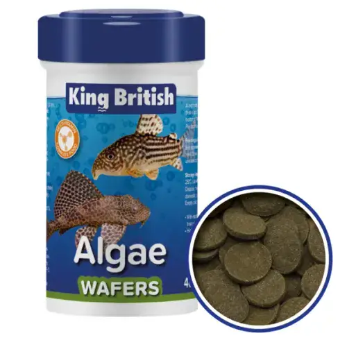 King British (KB) Algae Wafers Dry Fish Food (NEW PACKAGING, SAME PRODUCT)