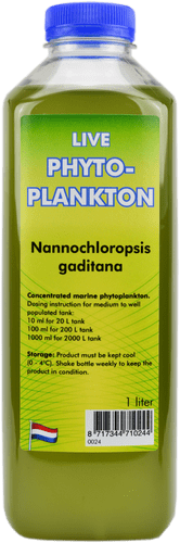 Live BULK Phytoplankton Nannochloropsis Gaditana - Live Fish Food (1L Bottle)
