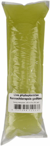Live Phytoplankton Nannochloropsis Gaditana - Live Fish Food