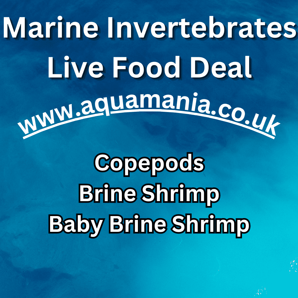 Marine Invertebrates Food Deal - Live Fish Food