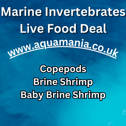 Marine Invertebrates Food Deal - Live Fish Food