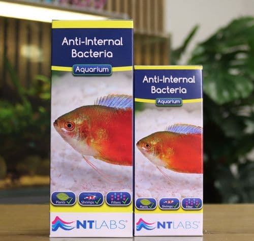 NT Labs Anti-Internal Bacteria 100ml