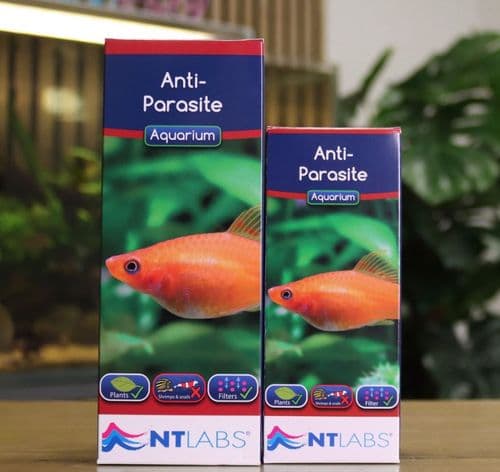 NT Labs Anti-Parasite 100ml