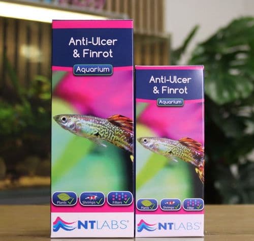 NT Labs Anti-Ulcer & Finrot Treatment 100ml
