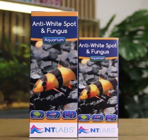 NT Labs Anti-White Spot and