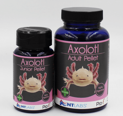 NT Labs Pro-F Axolotl Pellet Food (Range)