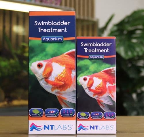 NT Labs Swimbladder 100ml