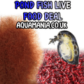 Pond Fish Live Foods Deal - Live Fish Food