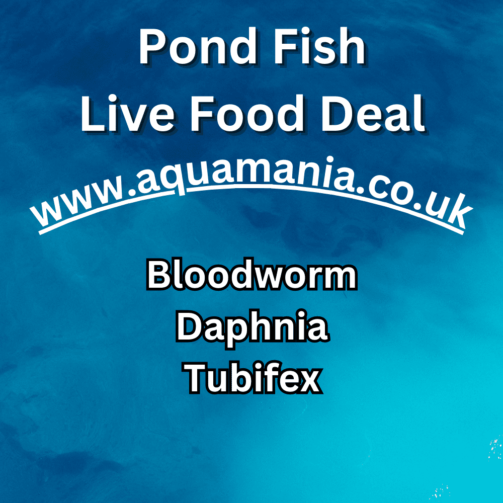 Pond Fish Live Foods Deal Live Fish Food