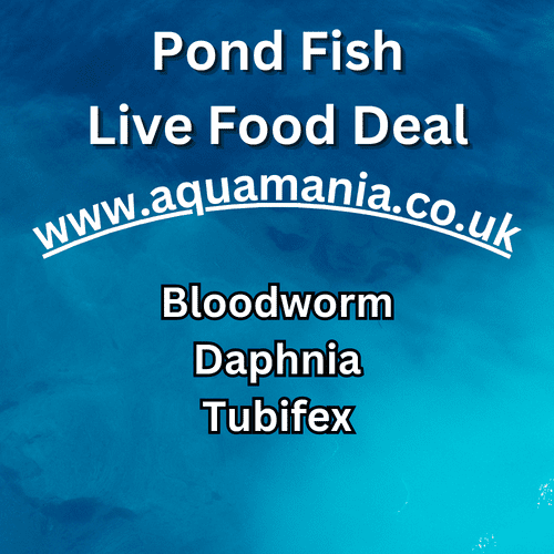 Live Bagged Fish Food