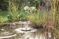 Pontec PondoSolar Lily Island - Floating Solar Powered Fountain