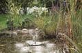 Pontec PondoSolar Lily Island - Floating Solar Powered Fountain