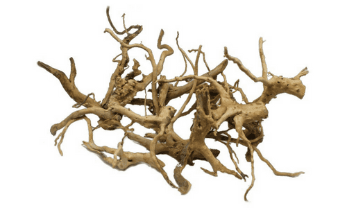 Red Moor Swamp Roots (Per KG)