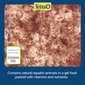 Tetra Delica Brine Shrimp Gel Treat Food