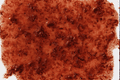 Tetra Delica Krill Gel Treat Food