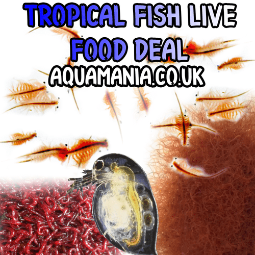 Tropical Fish Live Foods Deal