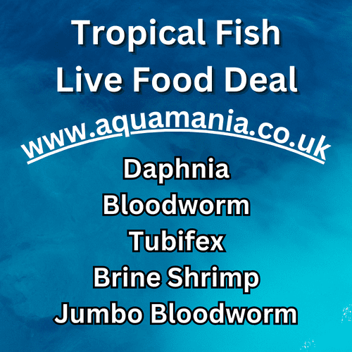 Tropical Fish Live Foods Deal