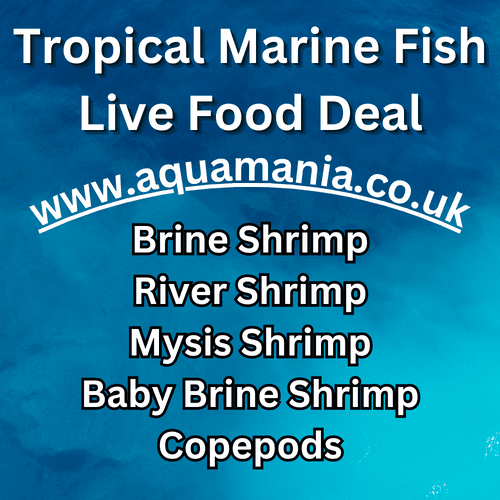 Tropical Marine Fish Live Food Combo Deal
