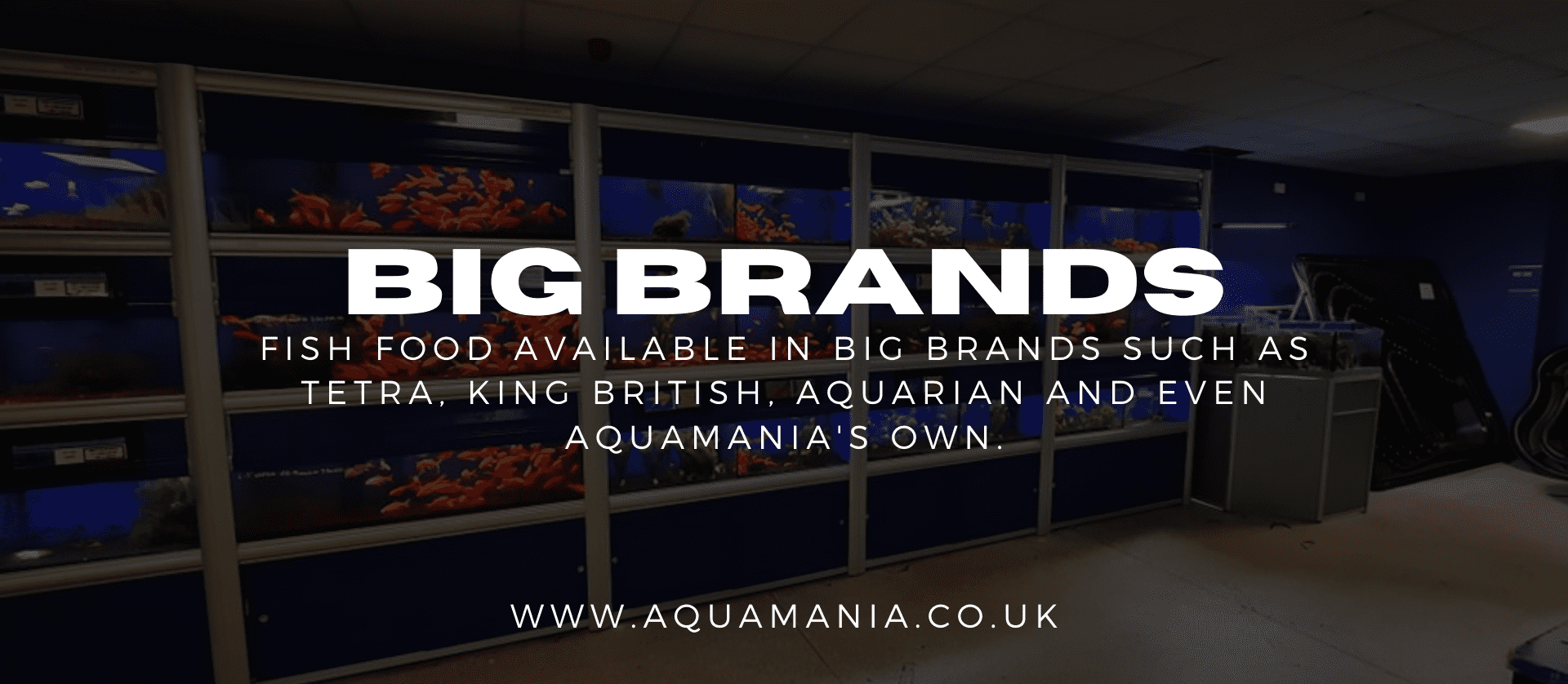 Fish food from big brands including Tetra, Betta, King British, Aquamania and more!