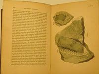 Hugh Miller's Works 11 volumes