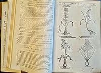 The Herbal or General History of Plants