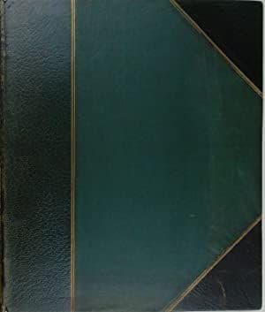 The Wildfowler In Scotland