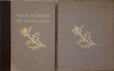 Wild Flowers Of Scotland