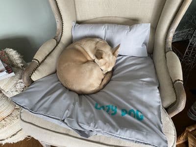 Chi