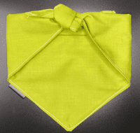 Neckerchief for Dogs - Mint Green -  by Lazy Dog Company. 2 Sizes Avalible.