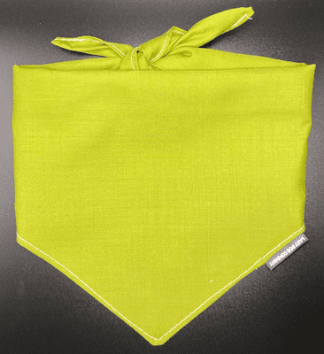 Neckerchief for Dogs - Mint Green -  by Lazy Dog Company. 2 Sizes Avalible.