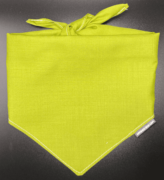 Neckerchief for Dogs - Mint Green -  by Lazy Dog Company. 2 Sizes Avalible.