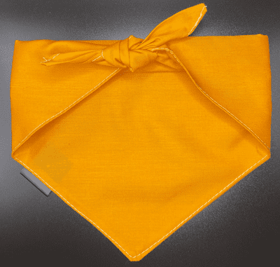 Neckerchief  for Dogs -Mustard - by Lazy Dog Company. 2 Sizes Available.