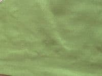 Neckerchief for Dogs - Sage Green - by Lazy Dog Company.  2 Sizes Available.