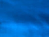 Neckerchief for Dogs - Teal -  by Lazy Dog Company. 2 Sizes Available.