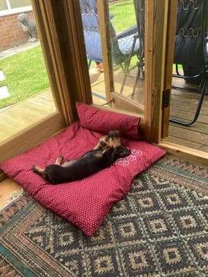 Oscar
