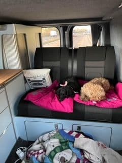 Ruby & Millie