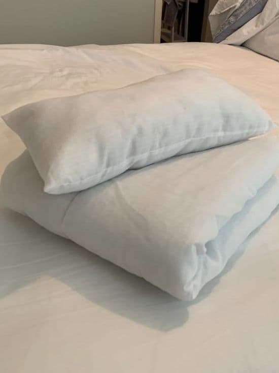 Single Duvet and Pillow - 26x26inches(64x64cm) Lazy Dog Company